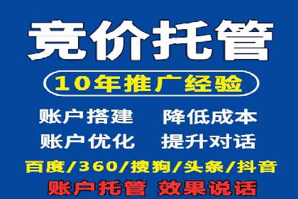 行业内的SEM竞价策略与效果对比案例